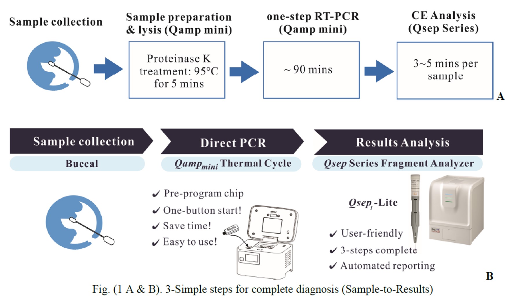 Direct SARS-CoV-2 Detection System Utilizing Simple-to-Use Capillary Gel Electrophoresis
